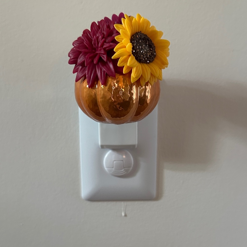 Floral Pumpkin Wallflower